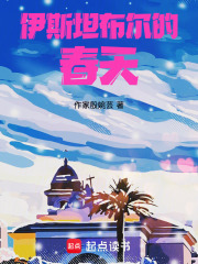 伊斯坦布尔的春天在线阅读