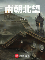 南朝北望封面