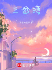 三岔湾在线阅读