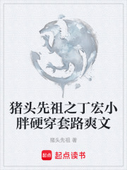 猪头先祖之丁宏小胖硬穿套路爽文在线阅读