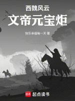 西魏风云：文帝元宝炬最新章节在线阅读