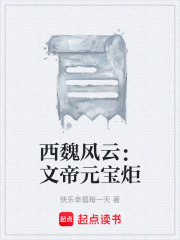 西魏风云：文帝元宝炬