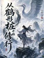 从鹤形桩开始修行在线阅读