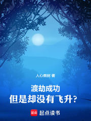 渡劫成功！但是却没有飞升？在线阅读