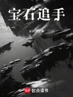 宝石追手