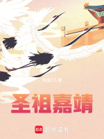 圣祖嘉靖封面