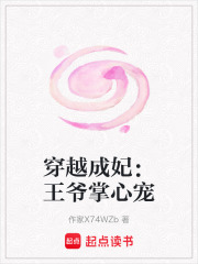 穿越成妃：王爷掌心宠