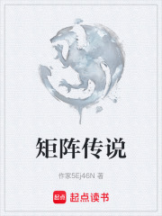 矩阵传说在线阅读