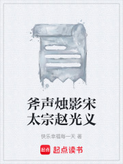 斧声烛影宋太宗赵光义