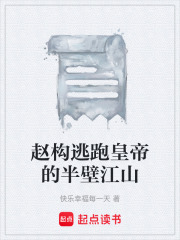 赵构逃跑皇帝的半壁江山