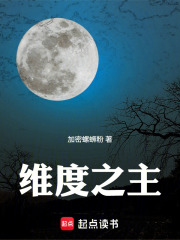 维度之主