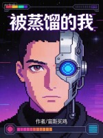 被蒸馏的我封面