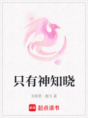 只有神知晓在线阅读