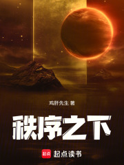 秩序之下在线阅读