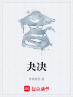 夬决封面