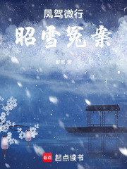 凤驾微行，昭雪冤案在线阅读