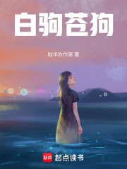 白驹苍狗在线阅读