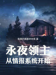 永夜领主：从情报系统开始