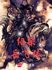 绍宋：岳飞传