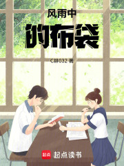 风雨中的布袋在线阅读
