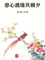 慈心渡缘共朝夕最新章节在线阅读