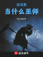 没词条当什么巫师封面