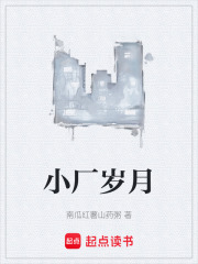 小厂岁月在线阅读