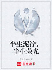 半生泥泞，半生荣光在线阅读