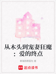 从木头到宠妻狂魔：爱的终点