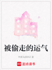 被偷走的运气在线阅读