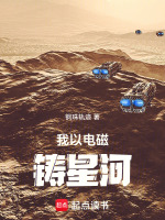 我以电磁铸星河封面