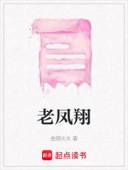 老凤翔在线阅读