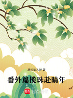 番外篇揽珠赴晴年最新章节在线阅读