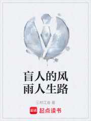 盲人的风雨人生路在线阅读