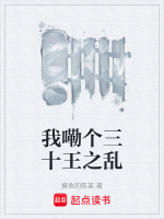 我嘞个三十王之乱封面