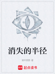消失的半径在线阅读