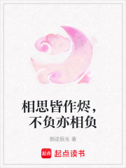 相思皆作烬，不负亦相负在线阅读