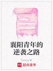 襄阳青年的逆袭之路在线阅读
