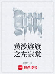 黄沙旌旗之左宗棠在线阅读
