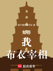 知否：我，布衣宰相在线阅读