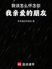 我该怎么怀念你，我亲爱的朋友在线阅读