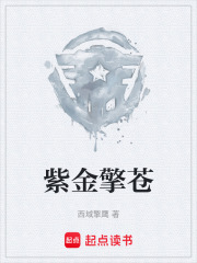 紫金擎苍在线阅读