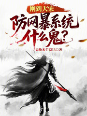 刚到大宋，防网暴系统什么鬼？
