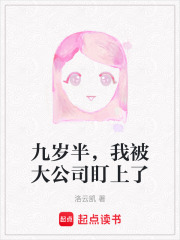 九岁半，我被大公司盯上了在线阅读