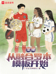 足球：从融合罗本模板开始在线阅读