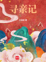 寻亲记在线阅读