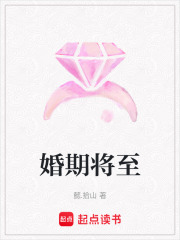 婚期将至在线阅读