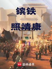 镔铁照靖康在线阅读