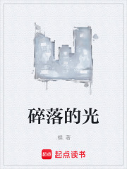 碎落的光在线阅读