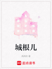 城根儿在线阅读